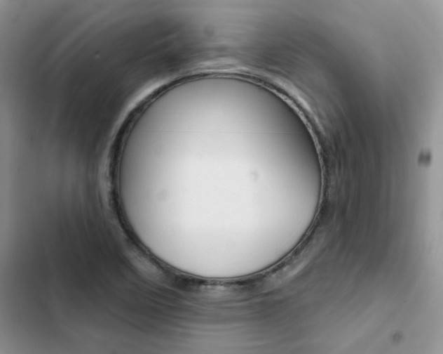 X0000102831458200808181038