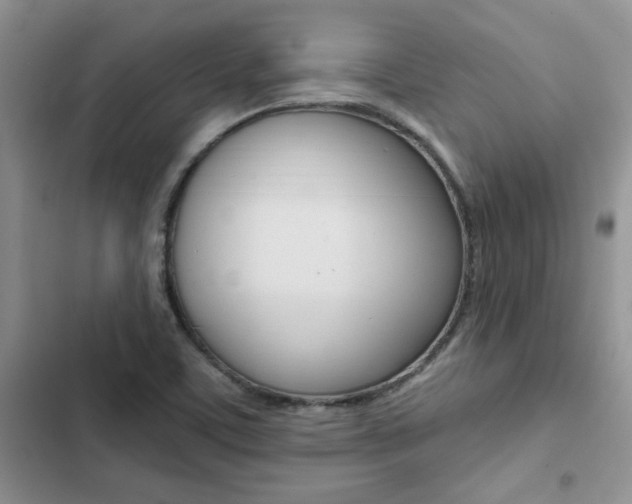 X0000102831459200808181038