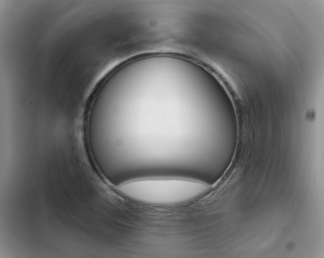 X0000102831460200808181038