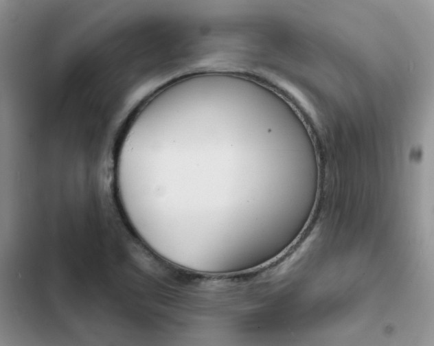 X0000102831461200808181038