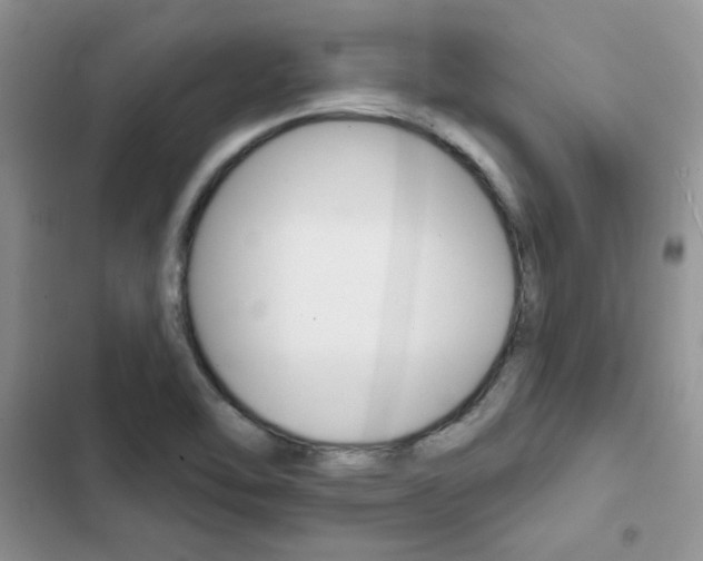 X0000102831462200808181038