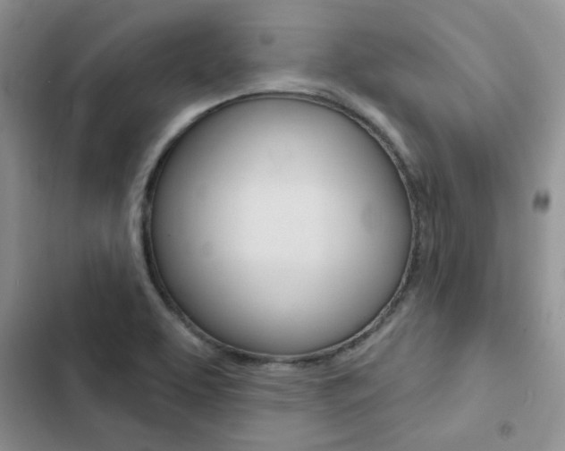 X0000102831463200808181037