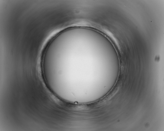 X0000102831464200808181037