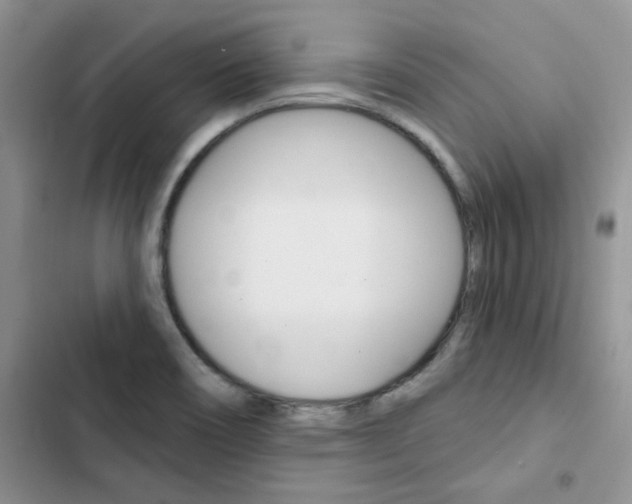 X0000102831466200808181037