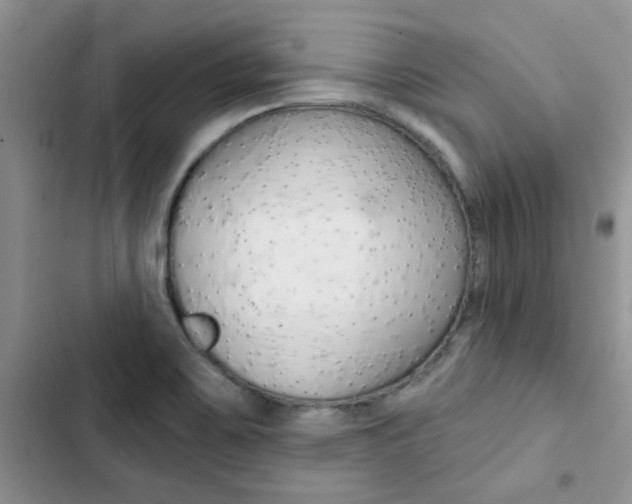 X0000102831467200808181037