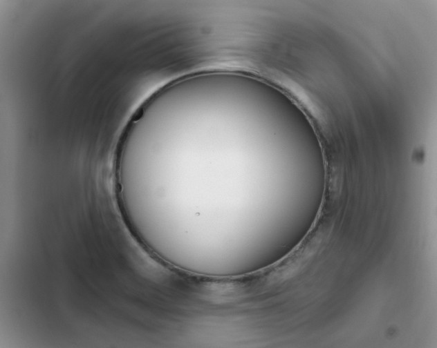 X0000102831468200808181037