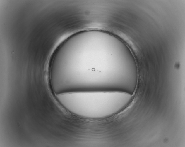 X0000102831469200808181037