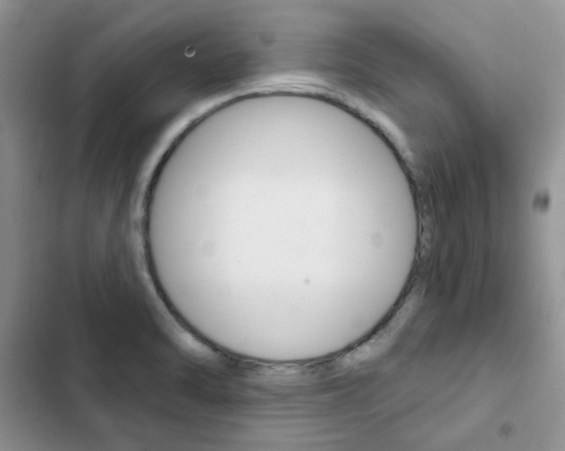 X0000102831470200808181037