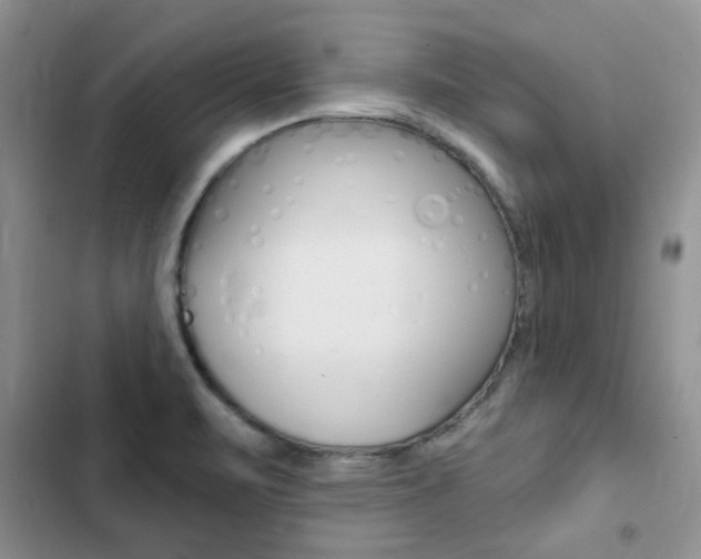 X0000102831471200808181037