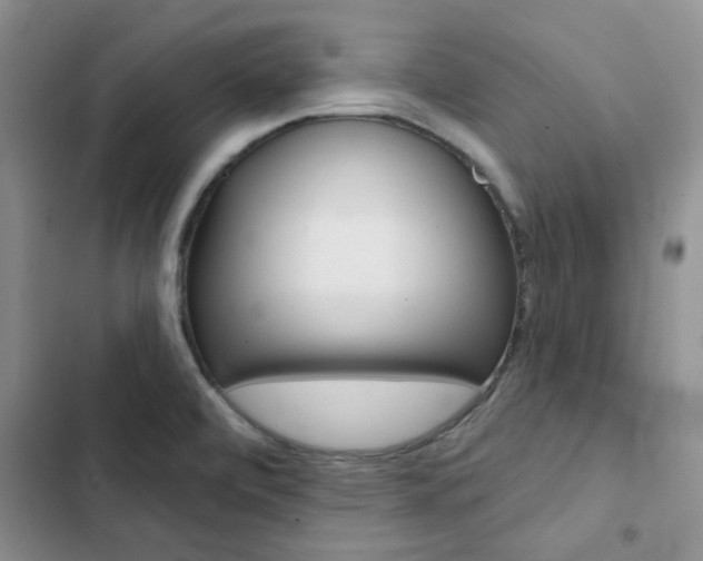 X0000102831472200808181037