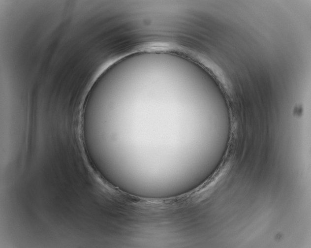 X0000102831473200808181037