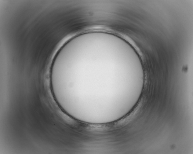 X0000102831474200808181037