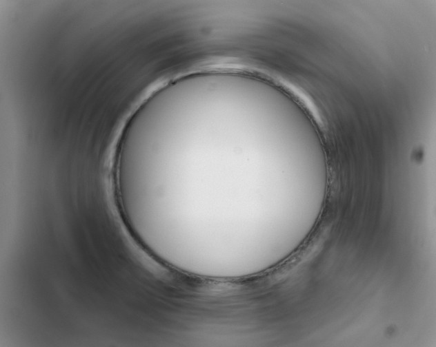 X0000102831475200808181037