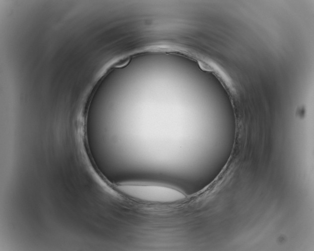 X0000102831476200808181037