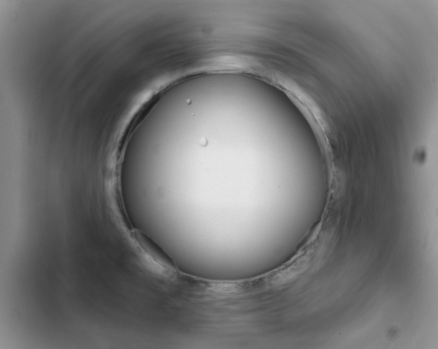 X0000102831477200808181037