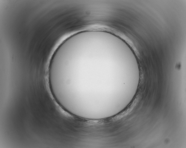 X0000102831478200808181037
