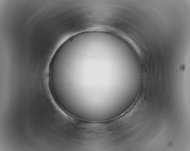 X0000102831479200808181037
