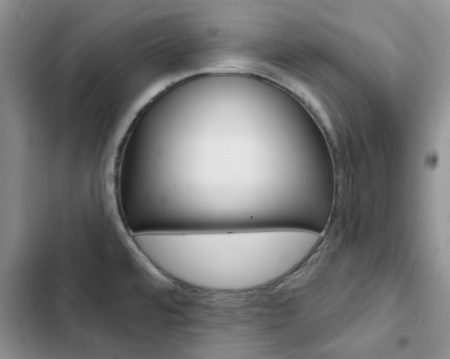 X0000102831480200808181037
