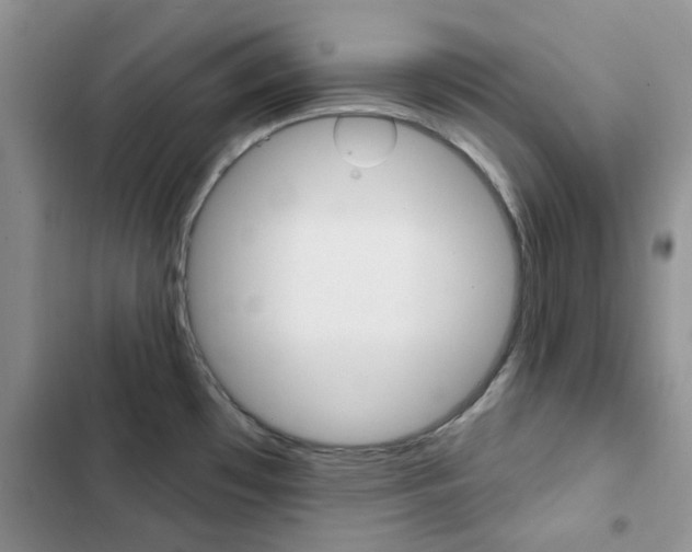 X0000102831481200808181037