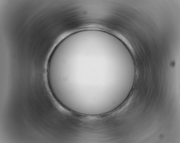 X0000102831482200808181037