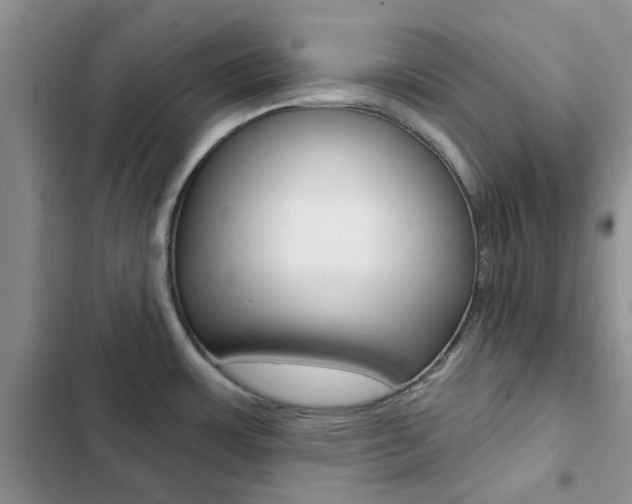 X0000102831483200808181037