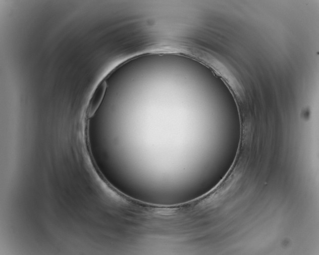 X0000102831484200808181037