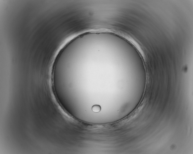 X0000102831485200808181037