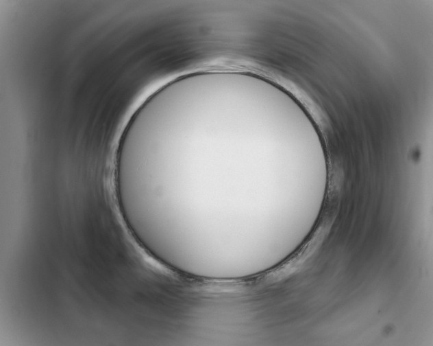 X0000102831486200808181037