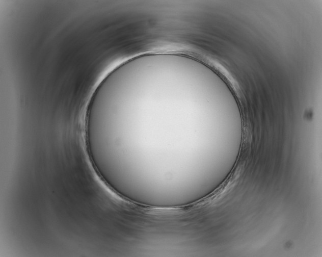 X0000102831487200808181037