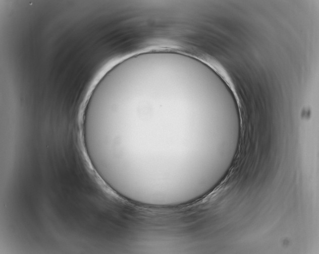 X0000102831488200808181037