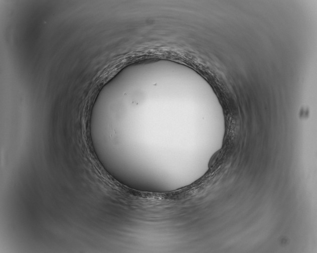 X0000102831489200808181036