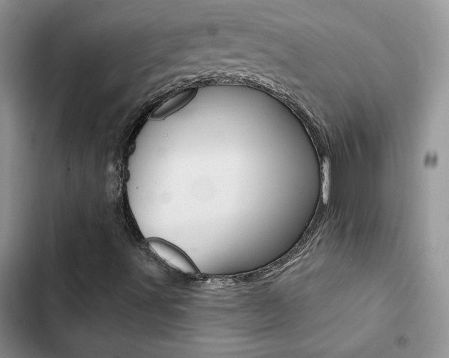 X0000102831491200808181036