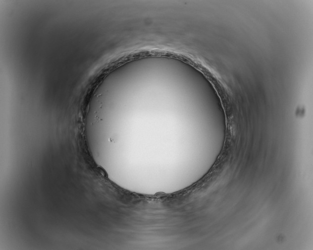 X0000102831495200808181036