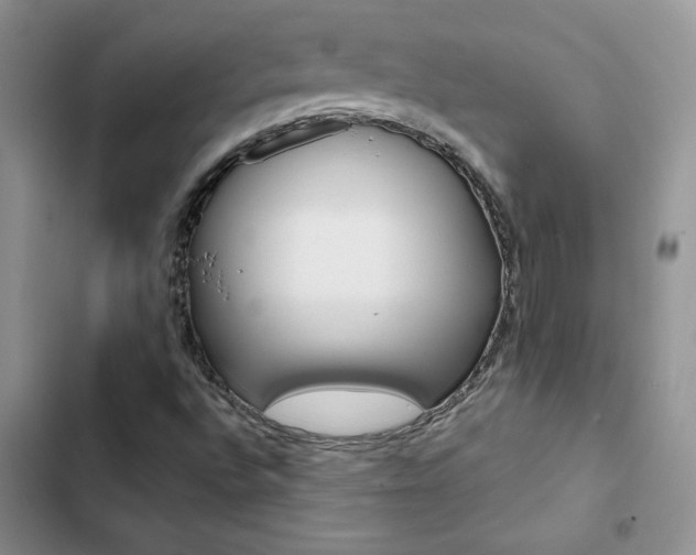 X0000102831496200808181036