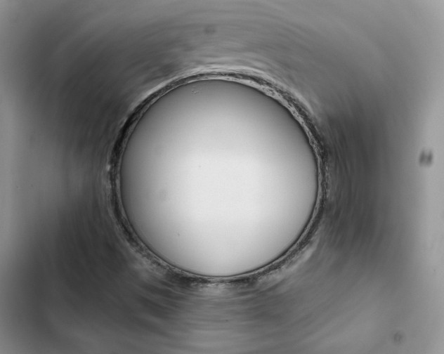 X0000102831497200808181036