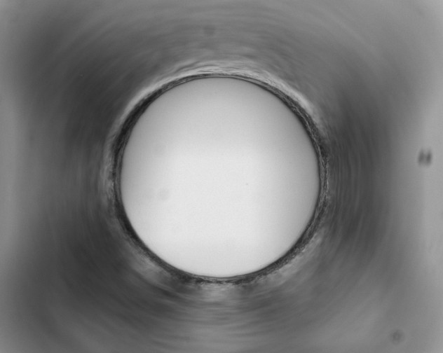 X0000102831498200808181036