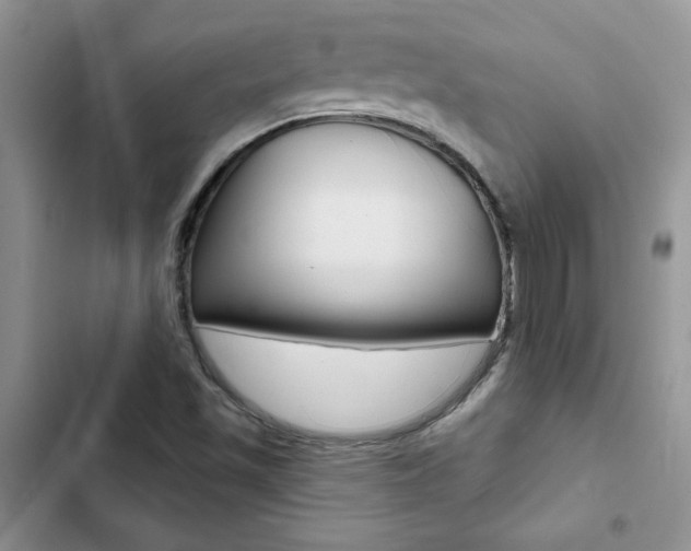 X0000102831501200808181036