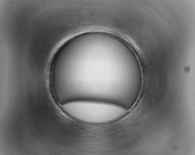 X0000102831504200808181037