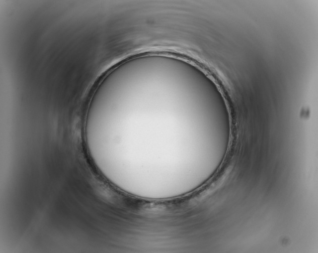 X0000102831505200808181037