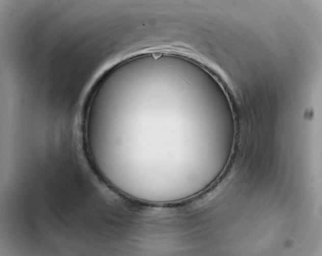X0000102831506200808181037