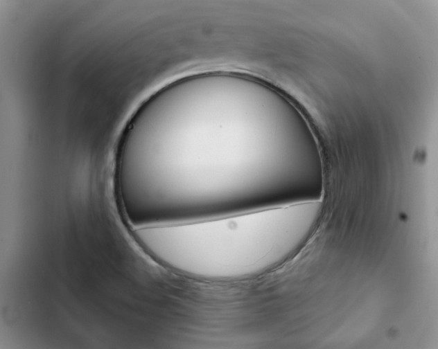 X0000102831508200808181037