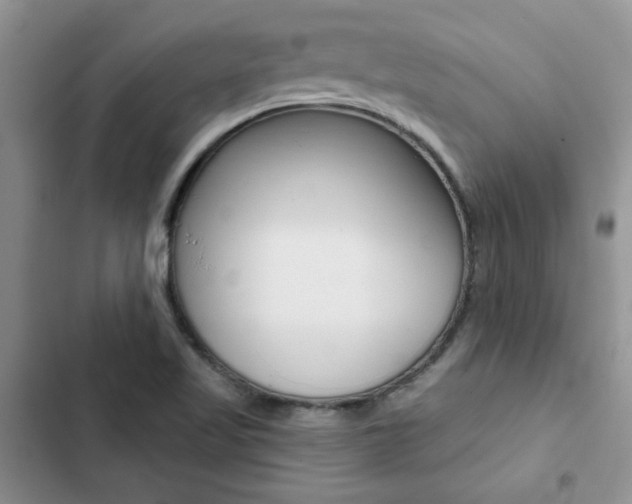 X0000102831509200808181037