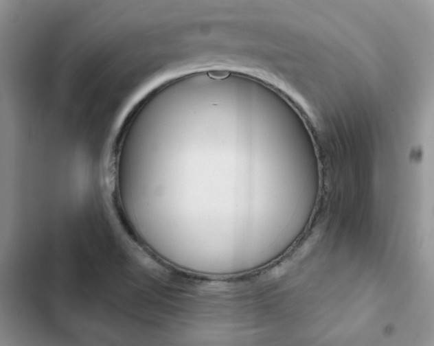 X0000102831510200808181037