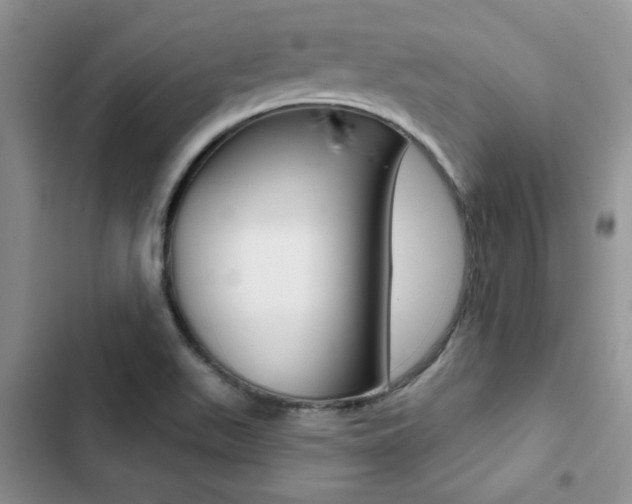 X0000102831511200808181037
