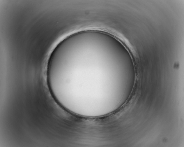 X0000102831512200808181037
