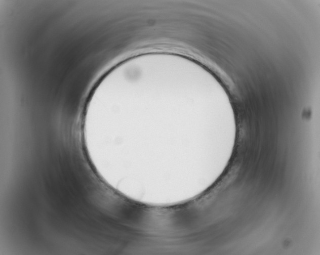 X0000102831514200808181037