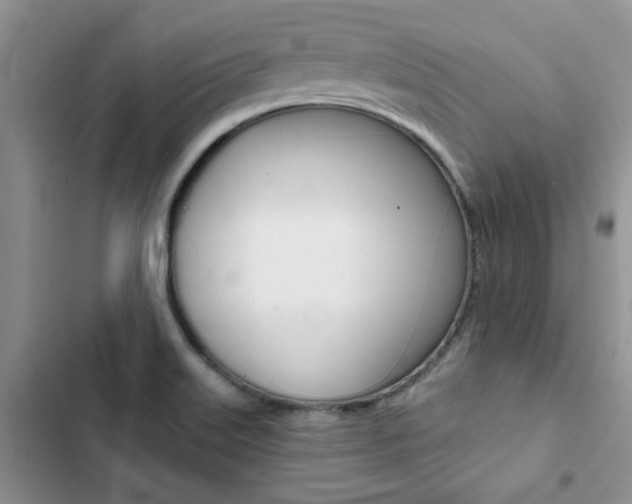 X0000102831515200808181037