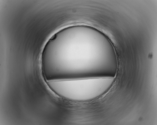 X0000102831516200808181037