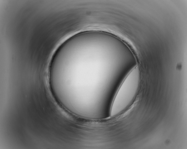 X0000102831517200808181037