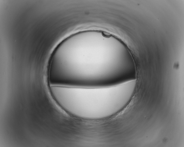 X0000102831518200808181037